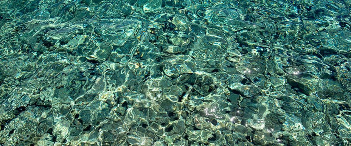 Villa Kalypso Chalki Town Eksteriør billede
