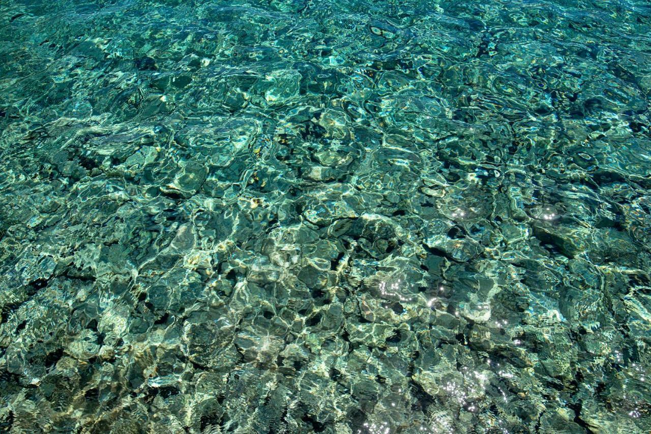 Villa Kalypso Chalki Town Eksteriør billede